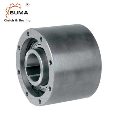 SMZ20 ha sigillato il cuscinetto della frizione della camma di tolleranza G6 di 67MM